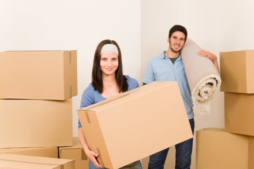 Submitting a detailed complaint about a moving job